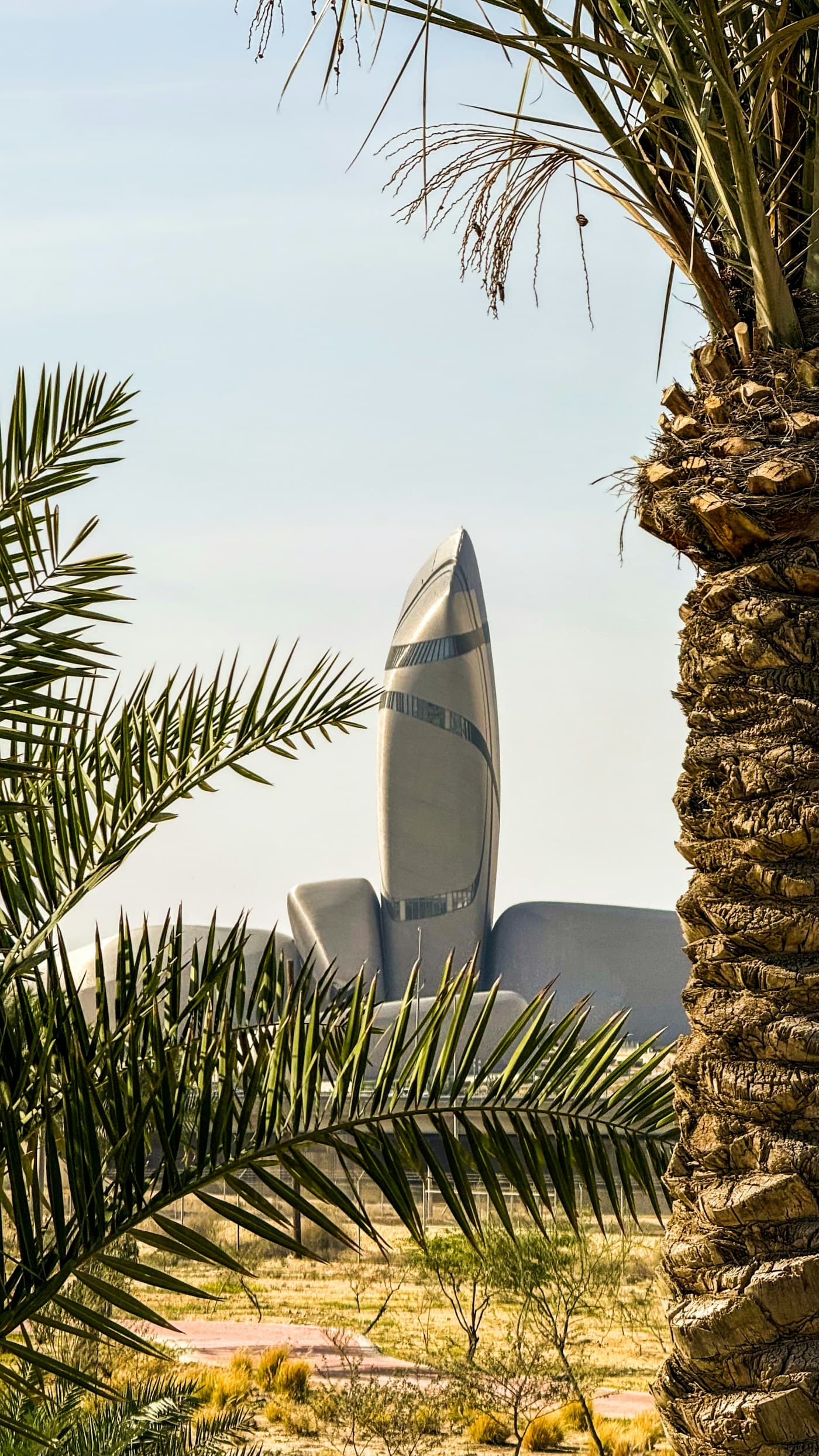 Modern building in Saudi Arabia framed by palm trees and a clear sky.